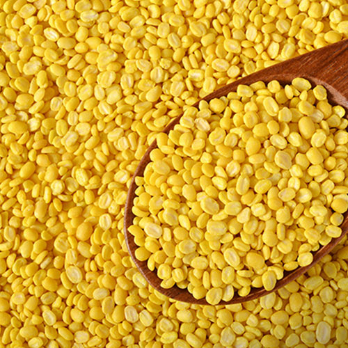 Aare Dal Supplier