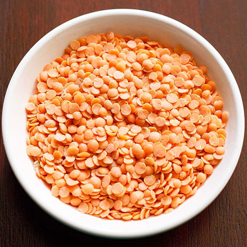 Moong Dal Supplier