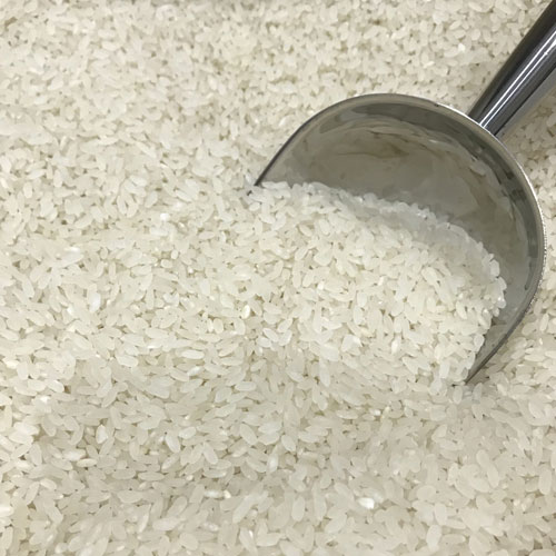 Medium Grain Rice supplier