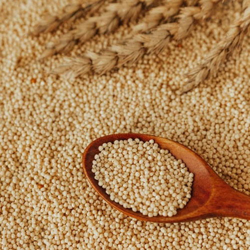 Millets Supplier