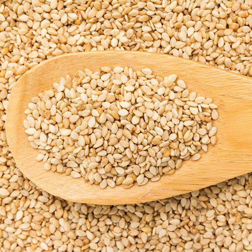 Sesame Seeds Supplier