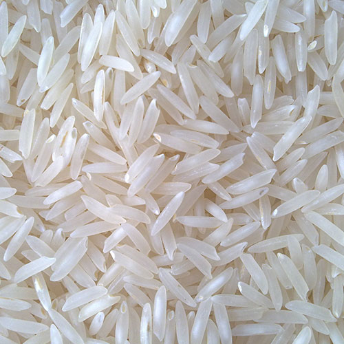 Sona Masoori Rice supplier