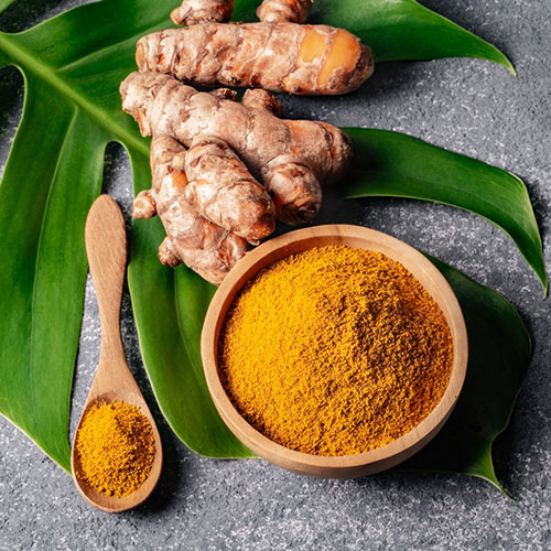 Turmeric Powder & Fingers ​supplier